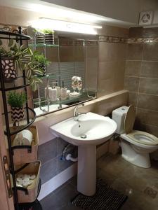 y baño con lavabo, aseo y espejo. en Thea's country house en Argyroupolis