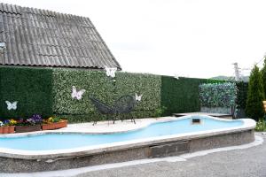 a swimming pool with a chair in front of a hedge at Vila Club Dioda in Cicanesti