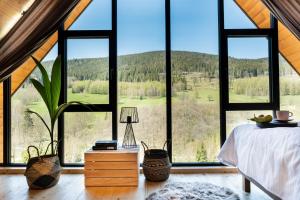 斯托尼拉斯奇Osada Za gorami za lasami - Domki z widokiem na Snieznik的卧室设有山景大窗户
