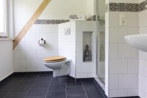 ein Bad mit einem WC und einem Waschbecken in der Unterkunft Villa Viriditas in Elbingerode