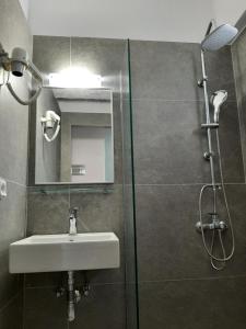 聖加利尼的住宿－奧斯特瑞亞酒店，一间带水槽和淋浴的浴室