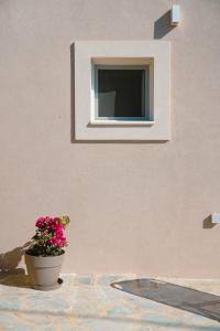 Fotografie z fotogalerie ubytování Christiana's Cottage v destinaci Sidari