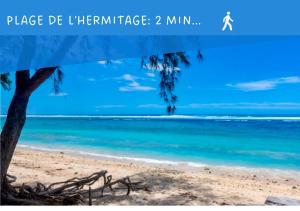 a view of a beach with a tree and the ocean at L'Hermitage - Appartement T3 en bord de plage in Filaos