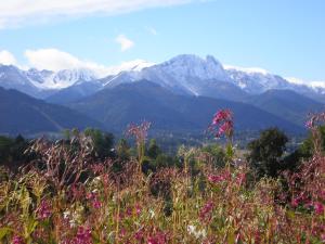 a view of mountains with pink flowers in the foreground at PRZYCZEPA CAMPINGOWA Ogrzewana !!temperatura 17lub 18stopni ZAKOPANE in Zakopane