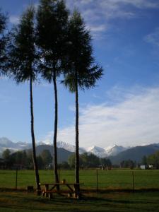 dos palmeras y un banco en un campo con montañas en PRZYCZEPA CAMPINGOWA Ogrzewana !!temperatura 17lub 18stopni ZAKOPANE, en Zakopane