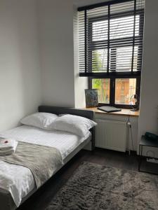 海烏姆的住宿－Apartament w Centrum przy Studni 102m2，一间卧室配有一张床、一张书桌和一个窗户。