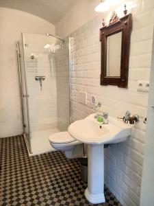 W łazience znajduje się umywalka, toaleta i prysznic. w obiekcie Historic Farmhouse Kojetice w mieście Kojetice