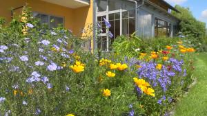 a field of flowers in front of a house at Landhotel Larenzen in Kirchham