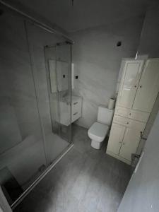 a bathroom with a toilet and a glass shower at bajo en casa unifamiliar terraza in Seville