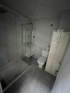 a bathroom with a glass shower and a toilet at bajo en casa unifamiliar terraza in Seville