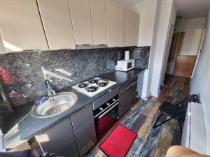 a kitchen with a sink and a stove at APARTAMENT 2 CAMERE in Bechet