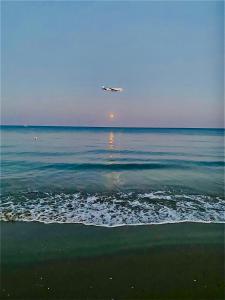 ein Flugzeug, das über den Ozean fliegt, mit einem Strand in der Unterkunft CHADI APARTMENT in Larnaka