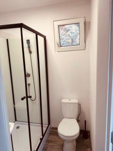 a small bathroom with a toilet and a shower at Residence 7 in Štúrovo