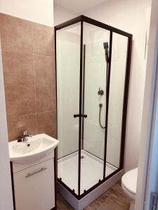 La salle de bains est pourvue d'une douche et d'un lavabo. dans l'établissement Residence 7, à Štúrovo