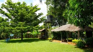 a garden with a building with a grass roof at Kusini House & Campsite in Eldoret