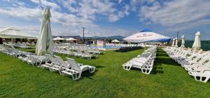 un groupe de chaises longues et de parasols sur l'herbe dans l'établissement Motel LAGUNA, à Beiuş
