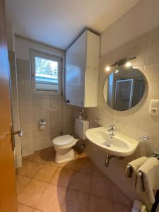 a bathroom with a toilet and a sink and a mirror at Ferienwohnung Königsleiten 121a - Top 1 in Königsleiten
