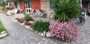 Zahrada ubytování Villa Leilani B&B