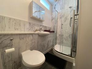 a bathroom with a toilet and a shower and a sink at Bristol Old City Studio in Bristol