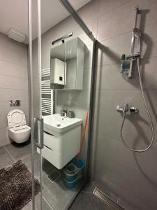 a bathroom with a shower and a sink and a toilet at N&M apartman Trebinje in Trebinje