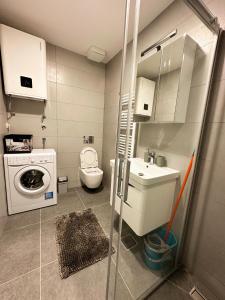 a bathroom with a sink and a washing machine at N&M apartman Trebinje in Trebinje +4 photos