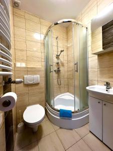 a bathroom with a shower and a toilet and a sink at Relax in Niechorze