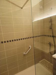 bagno con doccia e porta in vetro di Appartement Dreux a Dreux