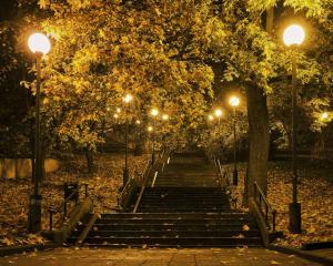 a set of stairs in a park at night with lights at Stylish Black and White loft in Kaunas
