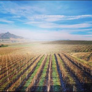 Gallery image of Casa AnNo in Costigliole dʼAsti