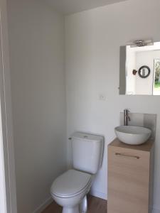un bagno con un water bianco e un lavandino di Chambre d'hôte Milin An Awel a Pleumeur-Bodou