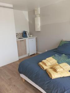 Gallery image of Chambre d'hôte Milin An Awel in Pleumeur-Bodou