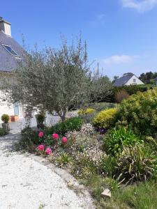 un giardino con fiori rosa e un albero di Chambre d'hôte Milin An Awel a Pleumeur-Bodou