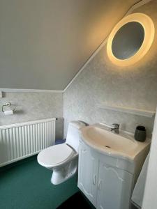 a bathroom with a white toilet and a sink at Patterdale farm holiday apartments in Gamleby