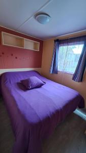 a purple bed in a room with a window at Muntagn' home in Corte