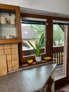 eine Küche mit einem Fenster und einer Topfpflanze auf einer Theke in der Unterkunft Vidiecky dom AlexSandra - ubytovanie v súkromí in Liptovská Ondrašová