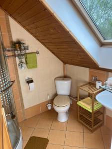 a bathroom with a toilet and a sink at Vidiecky dom AlexSandra - ubytovanie v súkromí in Liptovská Ondrašová