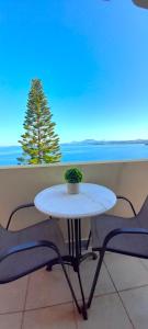 una mesa con una maceta en la parte superior en Stefanosplace ApartHotel Sea View en Barbati