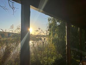 uma janela com vista para o sol a brilhar através da relva alta em Stonehaven River Lodge em Stilbaai