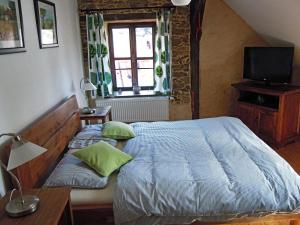 Dormitorio con cama, escritorio y TV en Farma Mošna, en Zbytiny