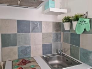 kuchnia ze zlewem i roślinami na ścianie w obiekcie Le Secret de Sanary w mieście Sanary-sur-Mer