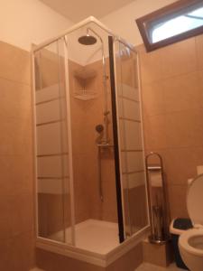 a shower with a glass door in a bathroom at argiri appartments in Olympiada