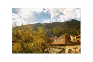a view of a town with a mountain in the background at Apartament Dinicu, Brasov, Romania in Braşov