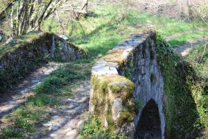 un viejo puente de piedra en un campo de hierba en Agriturismo I Giggi, en Rezzoaglio