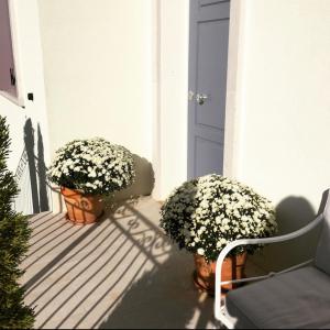 Gallery image of Guest house Festinalente in Montegrotto Terme +14 photos