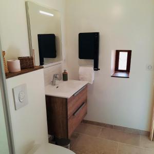 a bathroom with a sink and a mirror and a toilet at Le Cabanon des Lavandes entre Mont Ventoux et Luberon in Sault-de-Vaucluse
