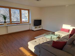 TV a/nebo společenská místnost v ubytování Bergpanorama