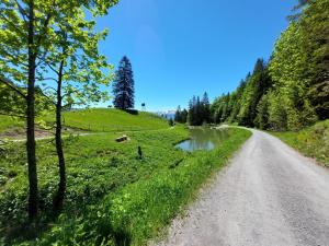 Paesaggio naturale nelle vicinanze dell'appartamento