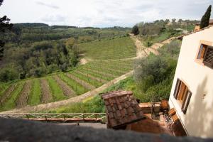 vistas a un viñedo desde un edificio en Agriturismo Poggio Nardini en San Donato a Livizzano