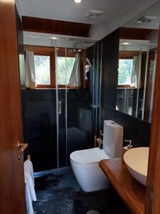 a bathroom with a toilet and a shower and a sink at Moinhos do Paiva in Castelo de Paiva