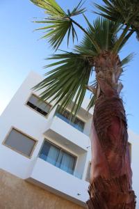 a palm tree in front of a white building at Oualidia City Centre Cosy Apartment, Free WIFI in Oualidia